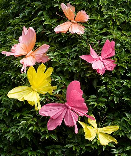 Papierblumen & Sommer Früchte