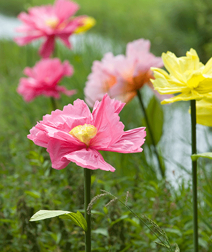 Papierblumen & Sommer Früchte