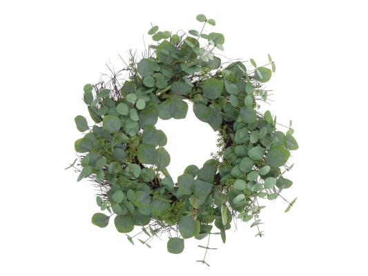 Seide Eucalyptus Gräser Pflanzen