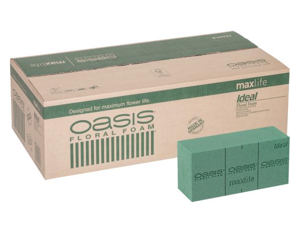 OASIS® IDEAL Maxlife Steckziegel 35St L23 B11 H8cm