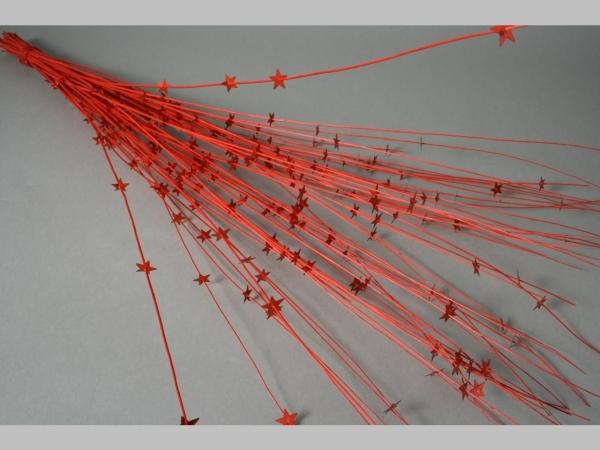Sticks mit Sterne Bd 50Stiele rot   L90cm