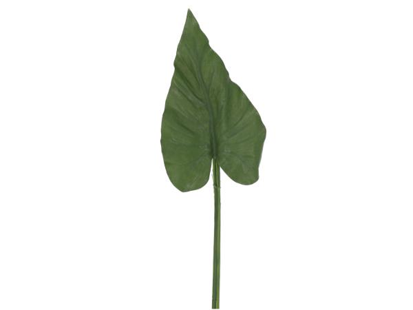 Blatt Tropical L68cm   L68cm