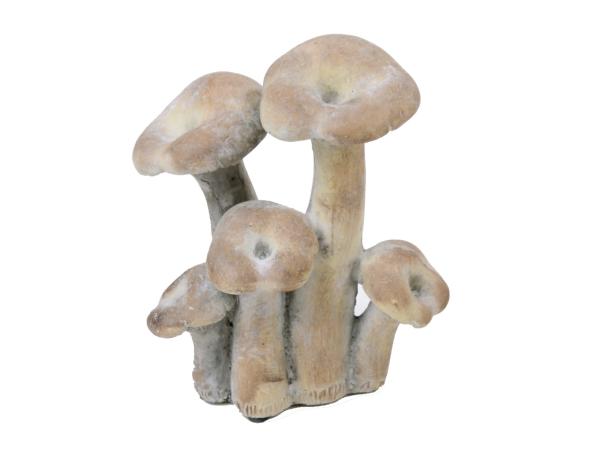 Pilzgruppe Beton
!! Aktionsartikel- Kein Umtausch / Rückgabe möglich !! B16 T10 H19cm