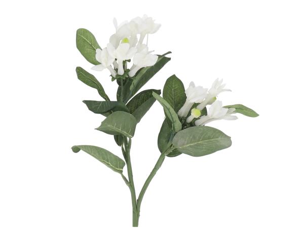 Ranke Stephanotis
!! Aktionsartikel- Kein Umtausch / Rückgabe möglich !! L60cm