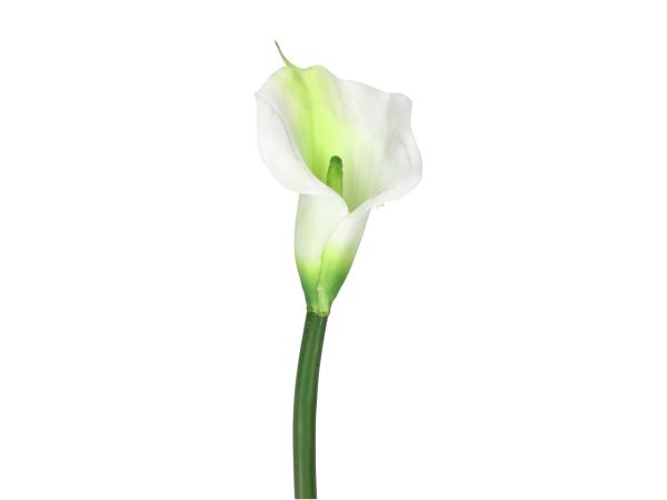 Calla realtouch   D9 L69cm