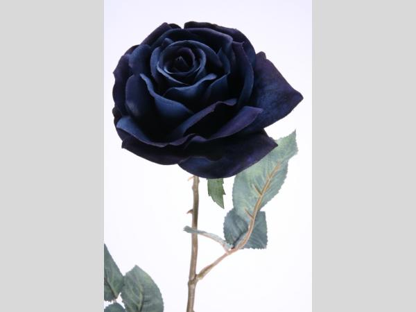 Rose x 1 velvet   D12 L65cm