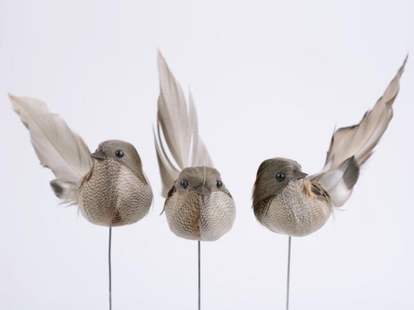 Vogel a Draht 3 Mod.    B3 H4 L15cm