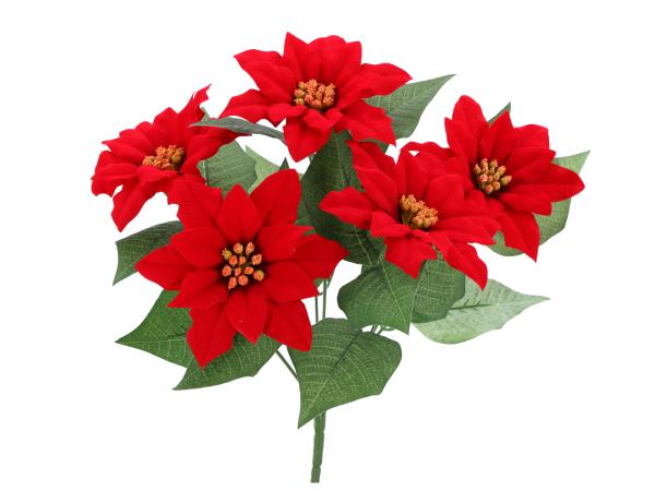 Busch Poinsettia Velvet (Weihnachtsstern)  L35 D30cm (Blte 12cm)