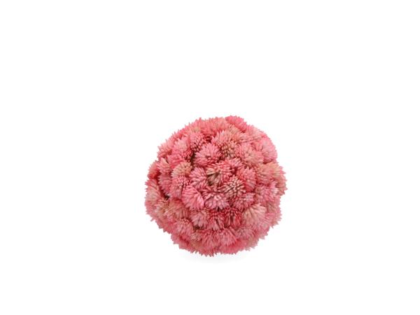 Kugel Allium realtouch
!! Aktionsartikel- Kein Umtausch / Rückgabe möglich !! D10cm