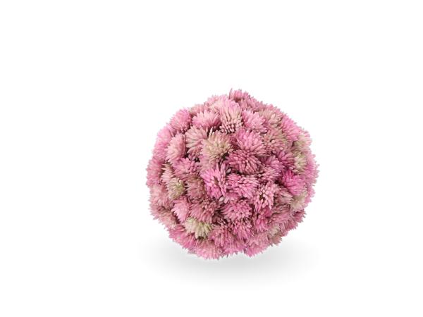 Kugel Allium realtouch D10cm