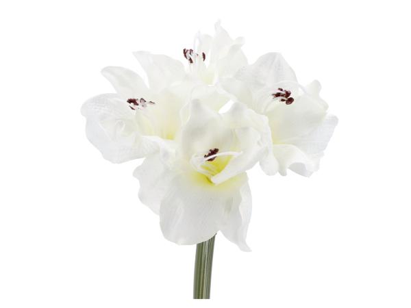 Amaryllis klein Basic 3Blüten L60cm