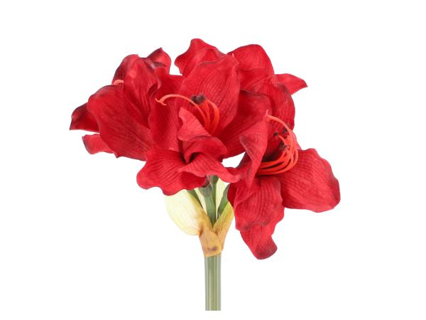 Amaryllis klein Basic 3Blüten L60cm