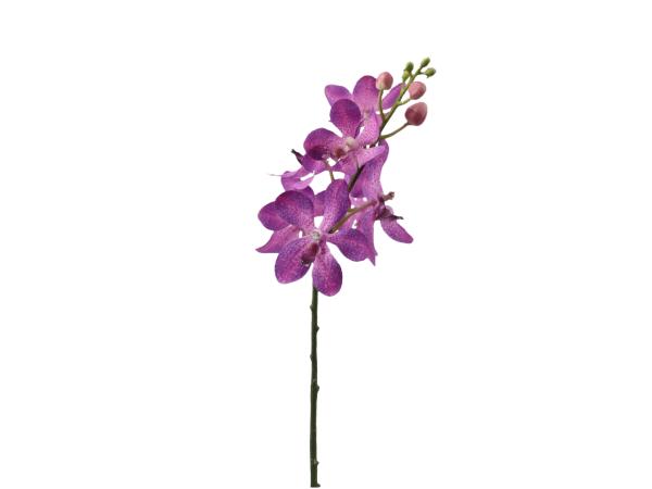 Orchidee Dendrobie coated 7Bl 7Kno   L42cm