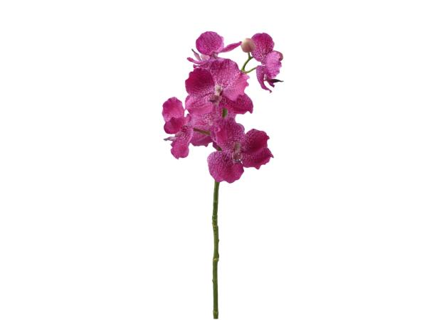 Orchidee Vanda coated 6Bl 3Kno   L45cm