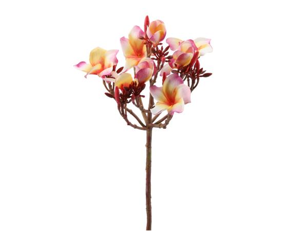 Frangipani Zweig   D20 L70cm