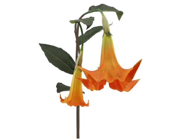 Datura extra coated x2 Blüten
!! Aktionsartikel- Kein Umtausch / Rückgabe möglich !! D9/20 L120cm