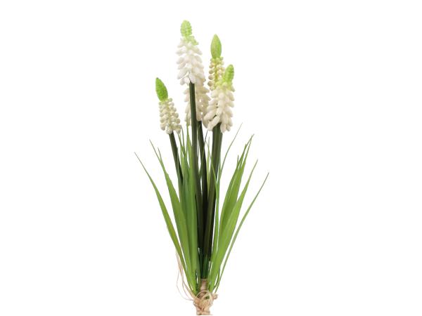 Muscari Bündel x9 (6Blüten) L25cm