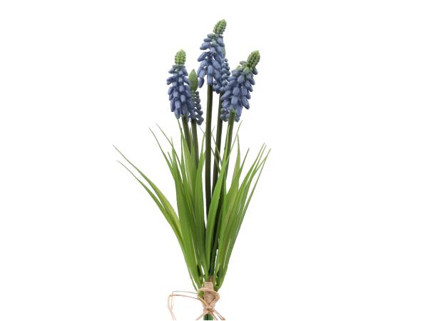 Muscari Bündel x9 (6Blüten) L25cm