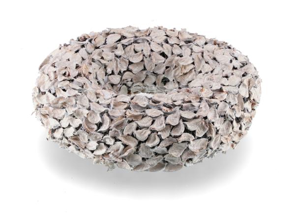 Kranz Schoten Cotton Frucht
!! Aktionsartikel- Kein Umtausch / Rückgabe möglich !! D40 H15cm