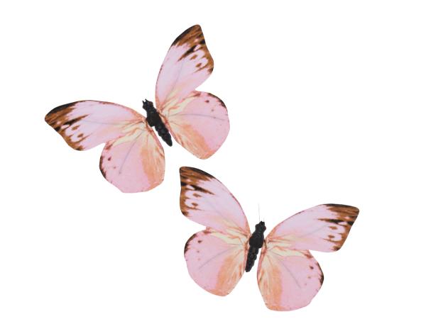 Schmetterling Papier bedruckt a Draht zusätzlich zum Hängen   