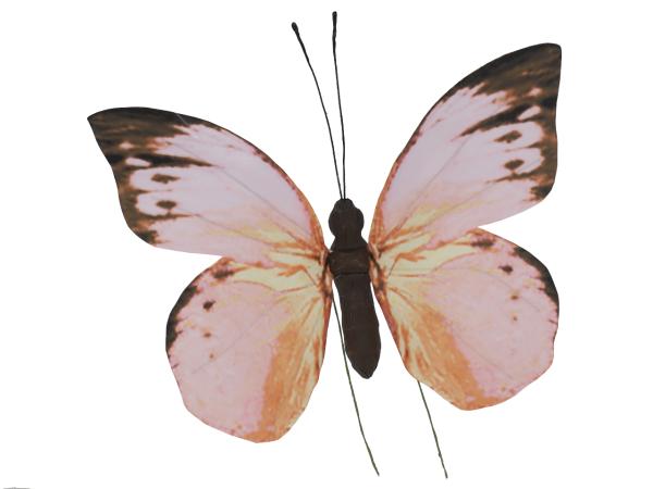 Schmetterling Papier bedruckt a Draht zusätzlich zum Hängen
!! Aktionsartikel- Kein Umtausch / Rückgabe möglich !! B50 H47 T5cm (Stab 20cm)