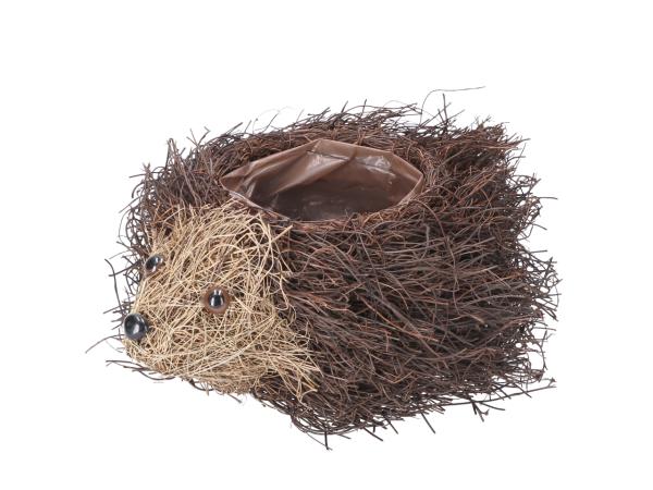 Pflanzigel Luftwurzel L32 B25 H12cm