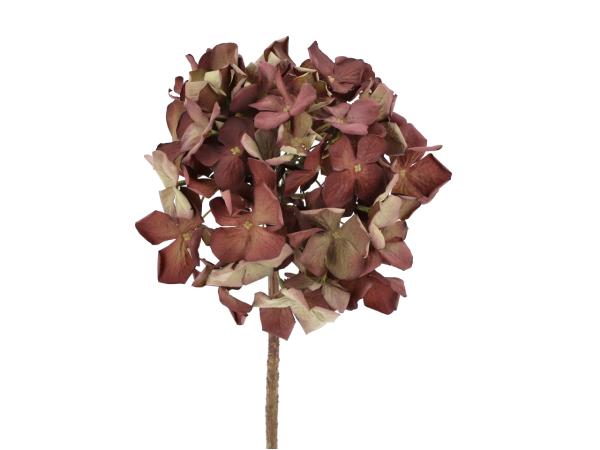 Hortensie künstlich dry-look and feel   D22 L65cm