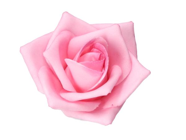Rose Schaumblüte Lara  D7 L25cm