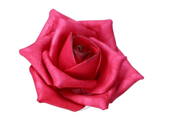 Rose Schaumblüte Lara D7 L25cm