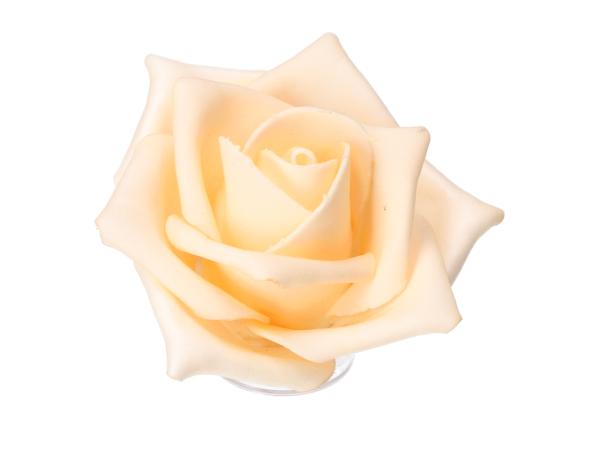 Rose Schaumblüte Lara  D9 L35cm