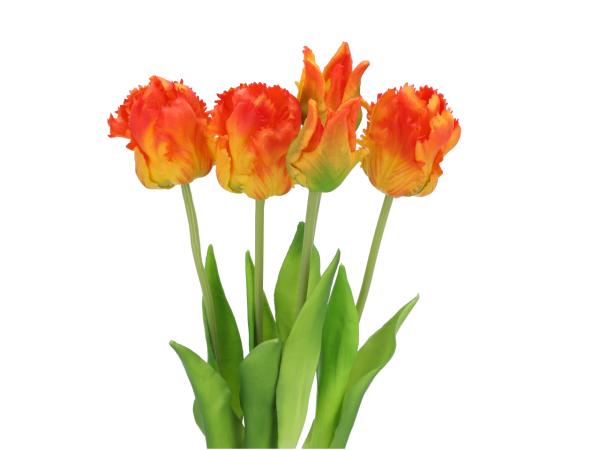 Tulpe realtouch pvc Bündel x5 L48cm