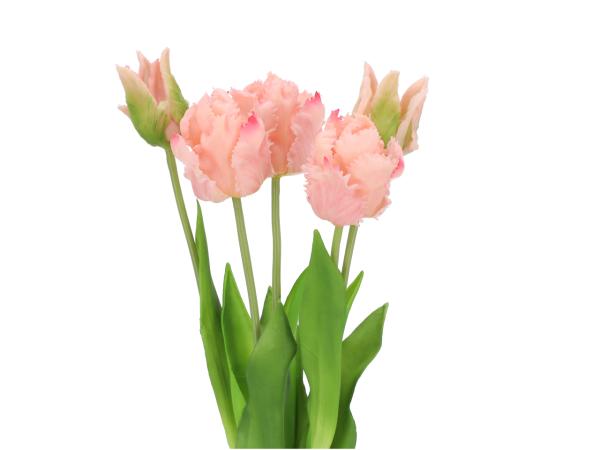 Tulpe realtouch pvc Bündel x5 L48cm