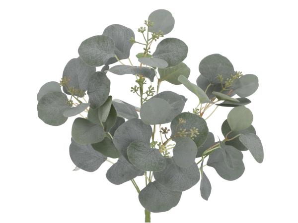 Eucalyptus Busch x7 L46cm