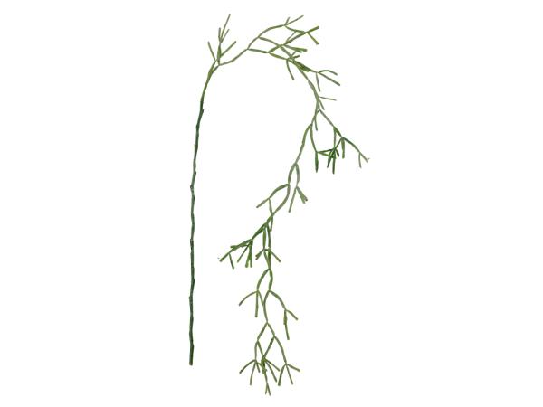 Rhipsalis Hänger Kunststoff   L130cm