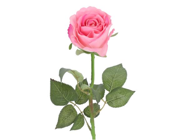 Rose realtoch  L67cm