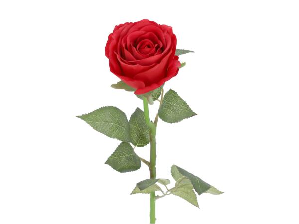 Rose realtoch L67cm