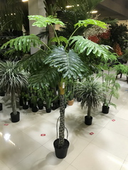 Philodendron realtouch im Topf  19 Blatt H200cm