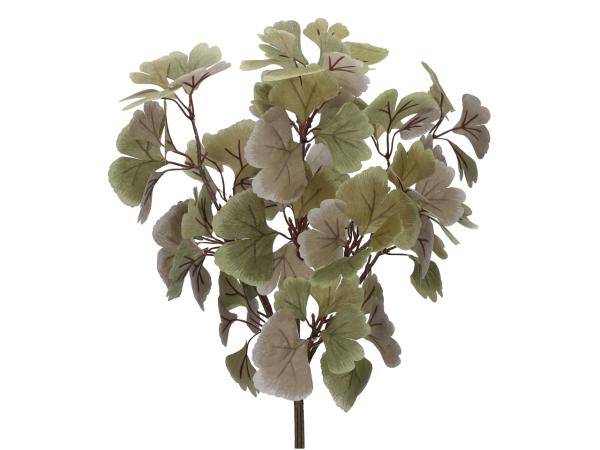 Bündel Zweige Ginkgo x12   D20 L45cm