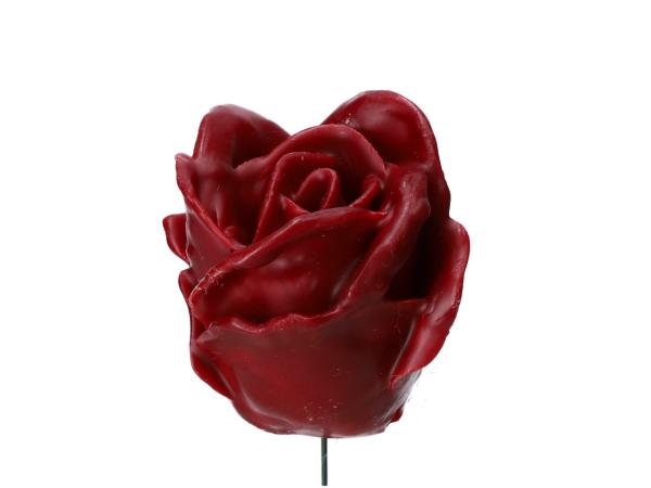 Rose Wachsblüte   D5cm