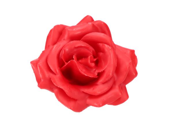 Rose Wachsblüte 