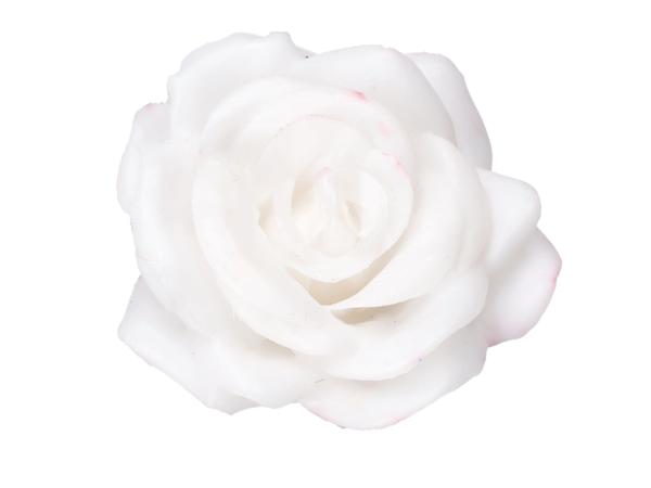 Rose Wachsblüte D9cm