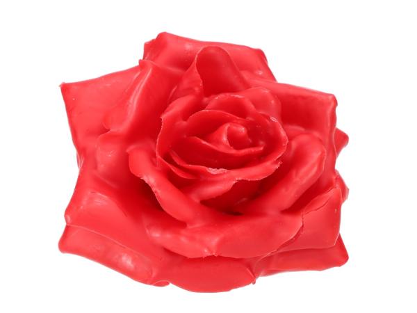 Rose Wachsblüte D9cm