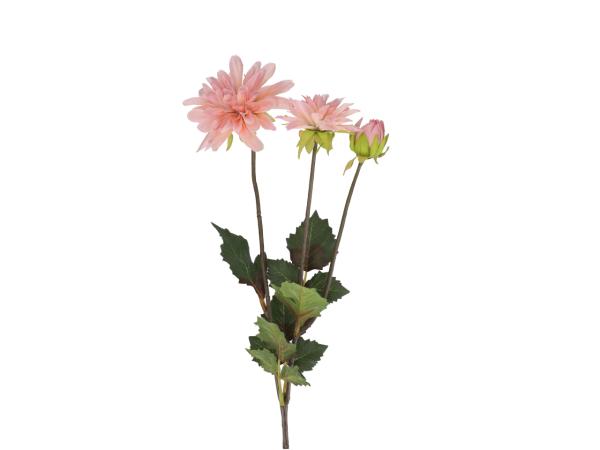 Dahlie 2 Blüten 1 Knospe   L54cm
