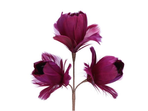 Federblume Stiel x3 Blüten (zertifiziert sterilisiert behandelt)  L46cm