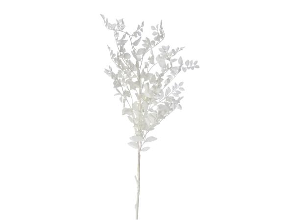 Ruskus Zweig KST DryLook finish  L100cm