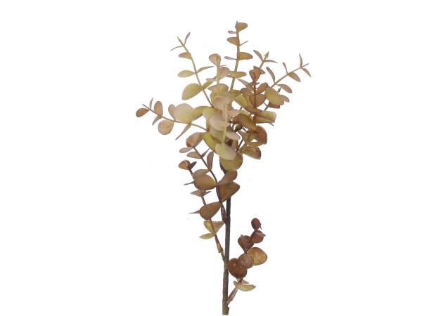 Zweig Eucalyptus KST  L35cm