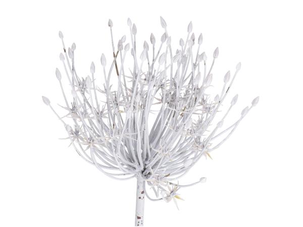 Allium Dolde natural dry look L54cm