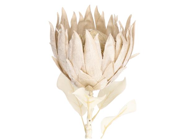 Protea King Deko dry look  L71cm