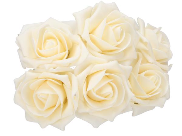 Rose Schaumblüte Primo  D9 L26cm