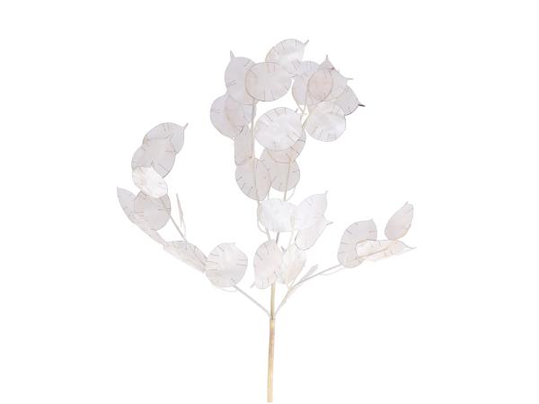 Zweig Lunaria künstl x4  L75cm